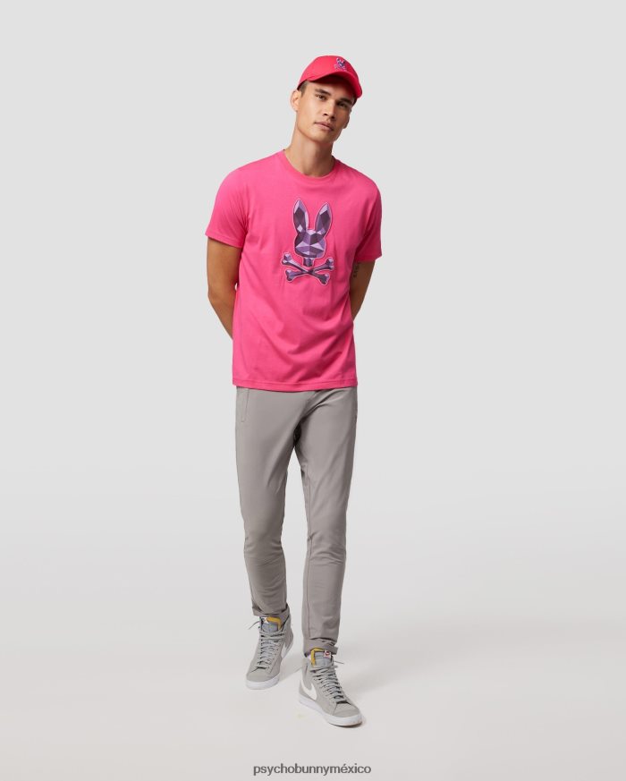 camiseta con gráfico bordado starwood para hombre sorbeteR46422212 Psycho Bunny